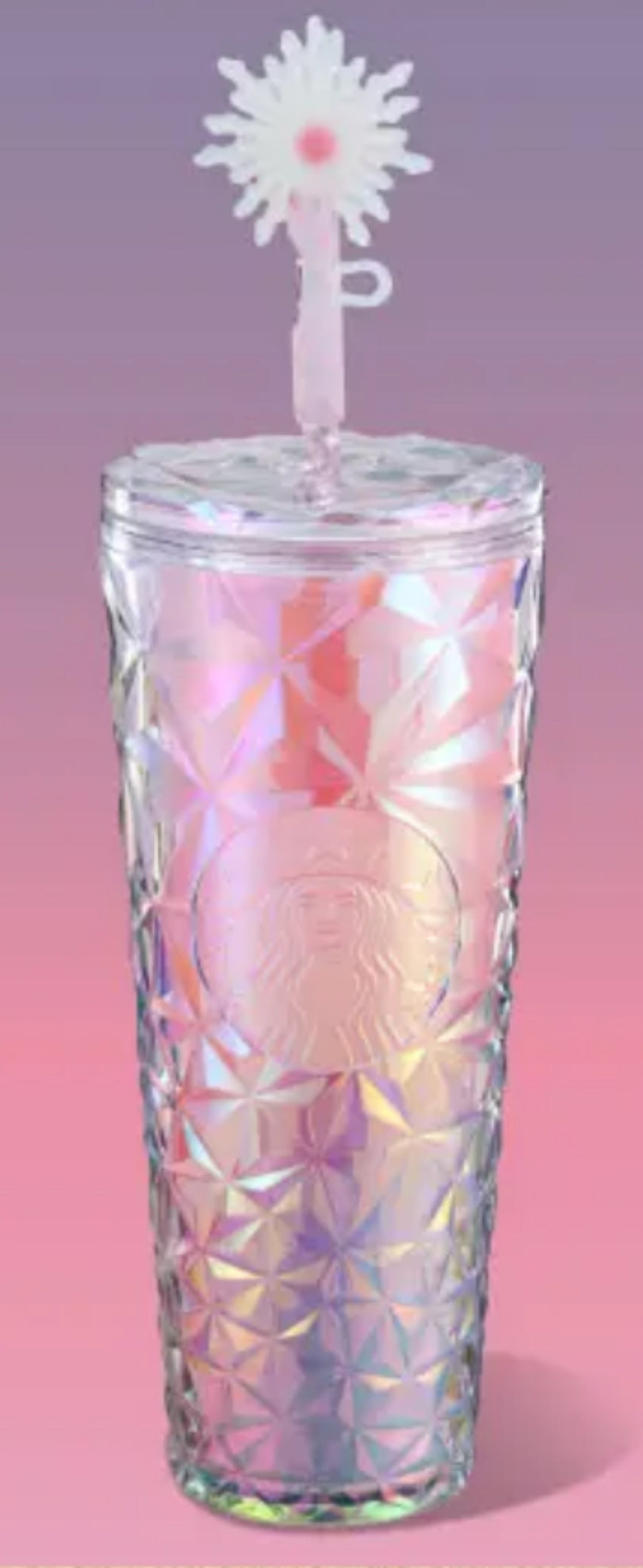 Starbucks Wicked Colab Tumblers, Keychains & Flasks Various